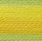 Multi-Color (P,Y,M,P,Y)