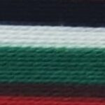 Multi-Color(R,B,W,G,B)