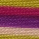 Multi-Color (MY,P,P,,P,M)