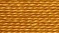 Pumpkin Brown