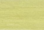 Nourishing Yellow Green