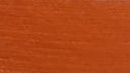 Vivid Brown
