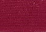 Dark Red Rose