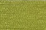 Garlic Green