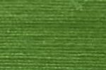 Curry Leaf