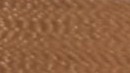 Mushroom Leather