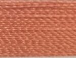 Warm Coral