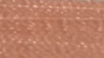 Warm Coral