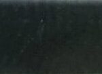 Dark Forest Green