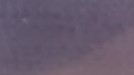 Muted Purple