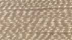Light Bronze