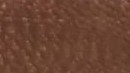 Dark Walnut Brown