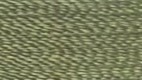 Iguana