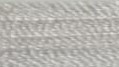 Pale Silver Gray