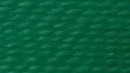 Arab Green