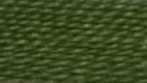 Dark Succulent Green