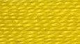Chinese Golden Yellow