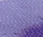 Dark Violet