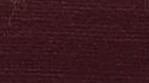 Casual Maroon