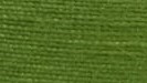 Spicy Green