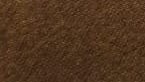 Coffee / Café